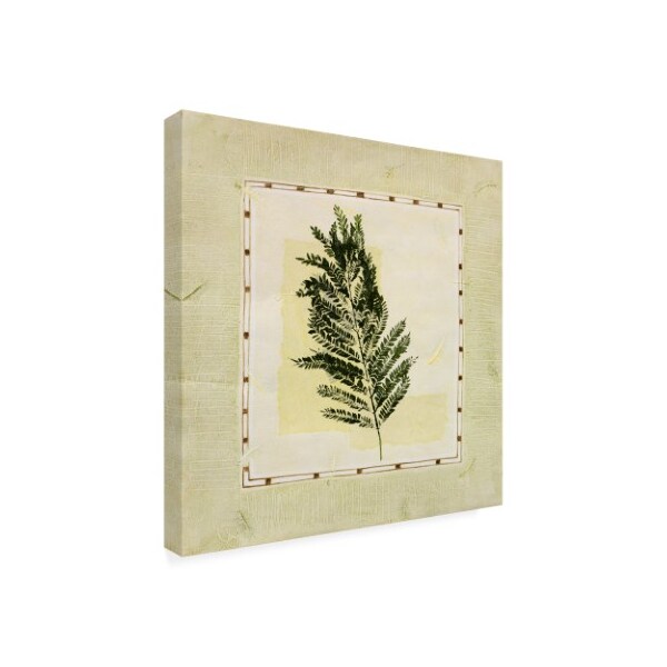 Pablo Esteban 'Fern Decorative Border 2' Canvas Art,24x24